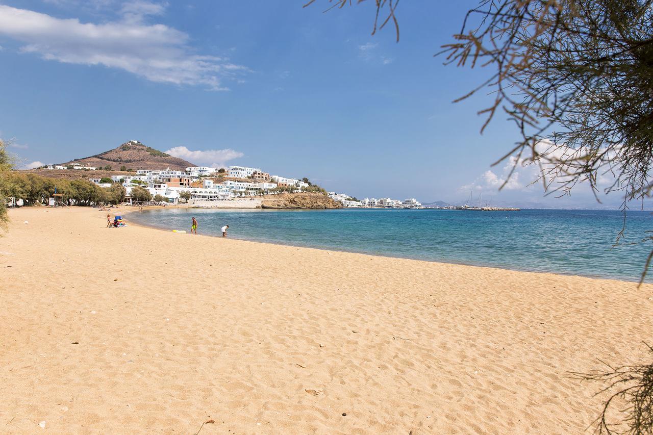 Villa San Dimitrio House On The Beach Logaras Exteriör bild