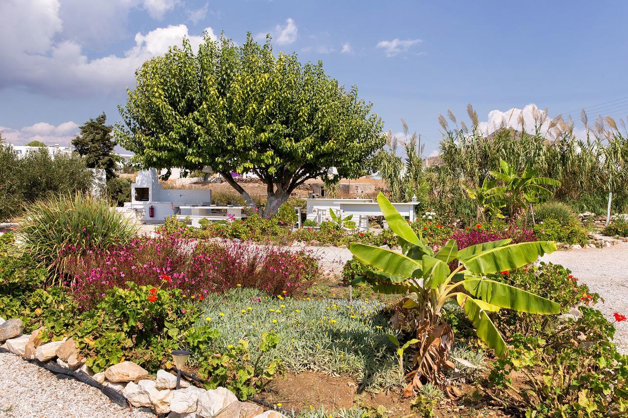 Villa San Dimitrio House On The Beach Logaras Exteriör bild