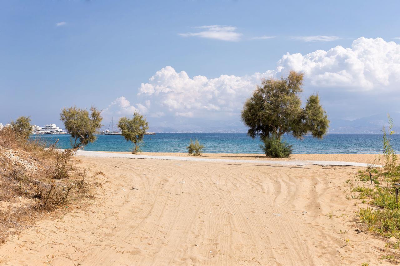 Villa San Dimitrio House On The Beach Logaras Exteriör bild